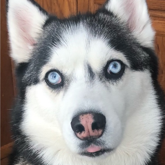 Meet your Posher, Andrea - Picture 1 of 1